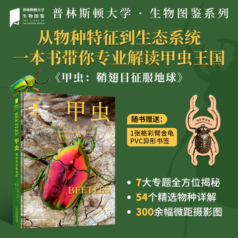 普林斯顿大学生物图鉴系列|甲虫: 鞘翅目征服地球，300余幅精致高清的甲虫图片， 讲述甲虫物种及其生态学特征 自然百科科普