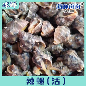 辣螺 250克一盒