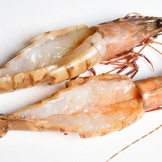 泰福·活冻野生虎虾500g/罐·野生海捕新鲜活冻【阳江】 商品图3