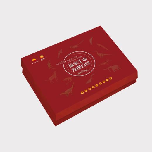 古生物冰箱贴套盒精华版三（12个） 商品图0