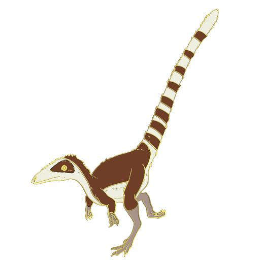 古生物冰箱贴套盒：恐龙、中华龙鸟、霸王龙... 商品图5