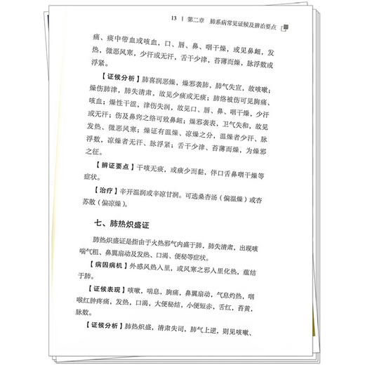 肺系常见病证诊治思路 高峰 吴蔚编 肺系中医生理病理特点 肺系病常见证候及辨治要点 肺系病的中医诊9787513288897中国中医药出版社 商品图4