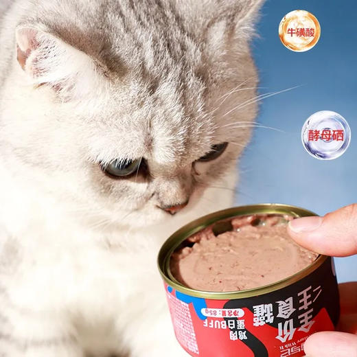 冒险与它猫罐头主食罐85g营养增肥发腮成幼猫湿粮随机口味/罐 商品图4