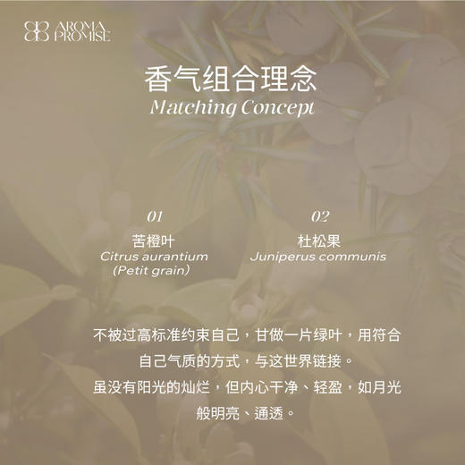 Aroma Promise月照清泉套组（苦橙叶精油10ml+杜松果精油10ml+木纹香薰机） 商品图1