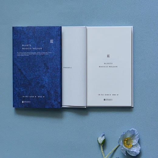 蓝：240段关于蓝色的哲思随笔（美）玛吉·尼尔森作品 商品图7