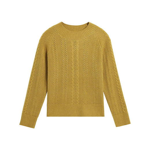 CC-101-689131小个子毛衣秋冬季新款圆领打底针织衫高腰短款厚款上衣 商品图4