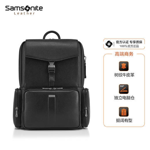 新秀丽ALFRED系列高端商务优质牛皮革翻盖双肩包BZ9*010 商品图1