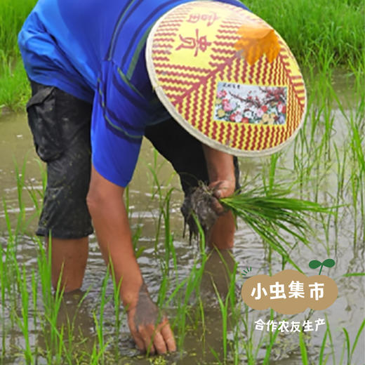 【2025年秋收新粮】黑龙江生态石板大米 3斤/10斤| 合作农友生产，产自黑龙江牡丹江，生产者是：韩丽、李明攀 *【公平贸易农人定价】 商品图12