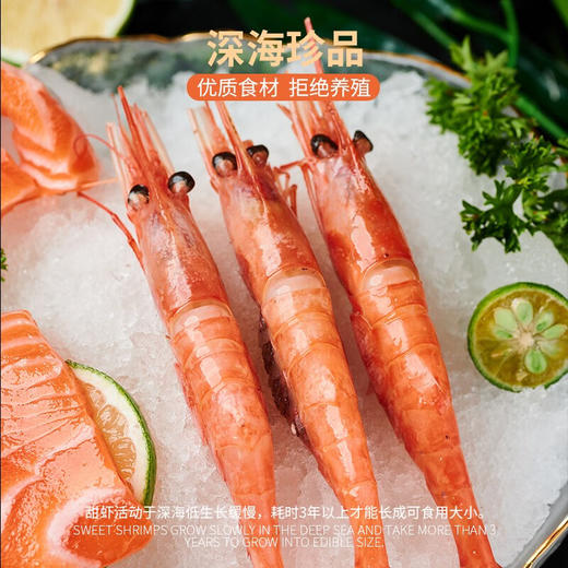 海底食界 俄罗斯刺身甜虾 商品图1