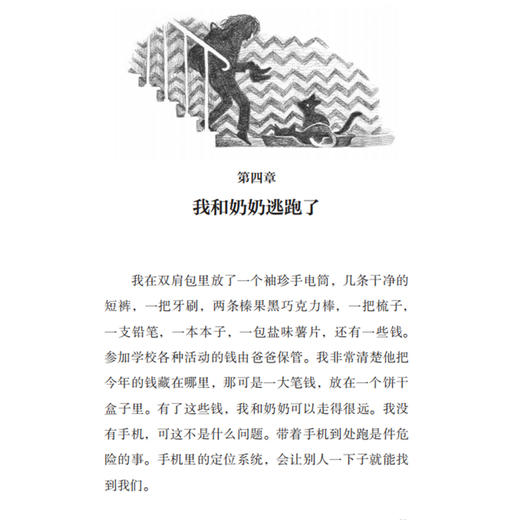 小译林 国际大奖童书系列（共6册）：《白轮船》《我是克里克，克里克就是我》《克里克的花园，克里克的家》《暑假奇迹》《家里来了大老鼠》《我和奶奶的奇妙之旅》 商品图7