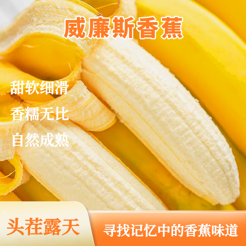 西双版纳威廉斯香蕉 5斤装
