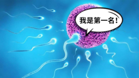  男人的小蝌蚪到底能跑多快？文末有福利