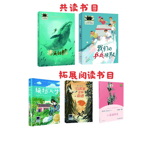 六年级阅读书目   迷失的鲸   我们的乒乓球队    课外书必读6年级正版授权（按需加入购物车自选） 商品图0