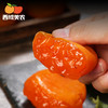 【我看谁记不住！！收到冰箱冷冻！冷冻！不是冷藏！！】西域美农流心冰柿柿饼 450g/袋  顺丰发货 商品缩略图1