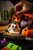 万圣节小鬼儿F4 商品缩略图1