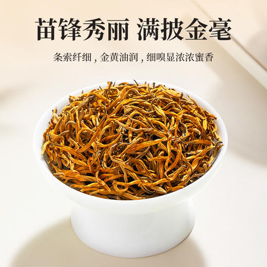 【臻尖-滇红至尚】新茶凤庆滇红金丝单芽工夫红茶100g*2罐 商品图1