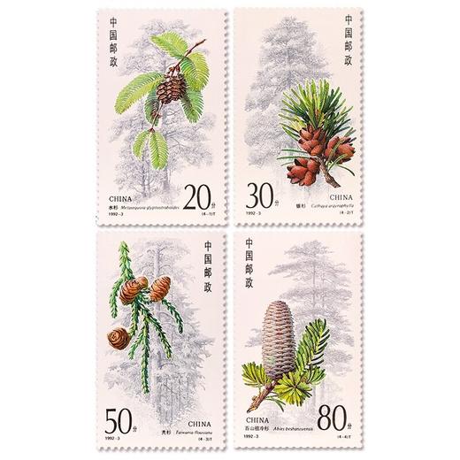 《杉树》特种邮票 1992-3 商品图0