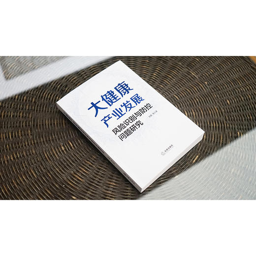 大健康产业发展风险识别与防控问题研究 邓勇 法律出版社 商品图2