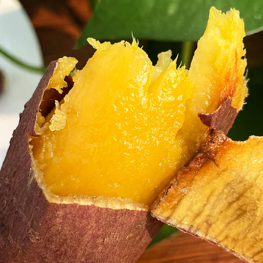【包邮】当季正宗红瑶蜜薯   蒸烤皆可黄心红薯黄金番薯地瓜榴莲蜜薯 糖化后很甜 密农优选 商品图1