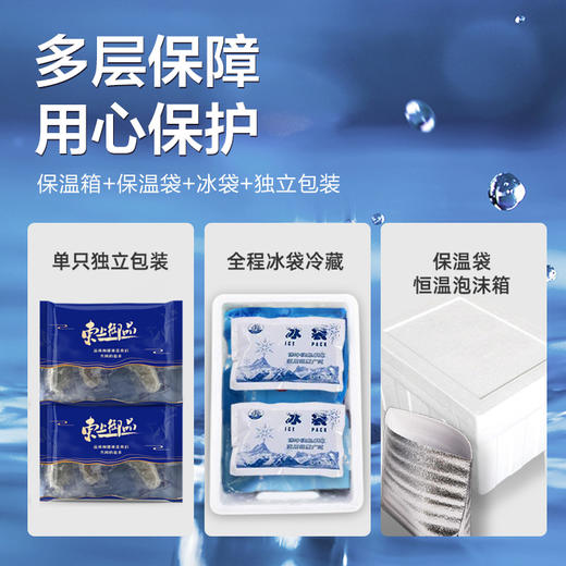 【东上御品】即食海参500g×2袋（两种规格任选） 商品图4