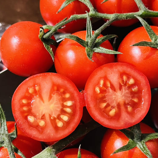 【市区内顺带不发快递】樱桃串收小番茄1箱10条 每条198克  美白抗氧 商品图3