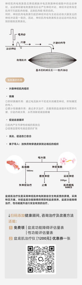 认识神经肌肉电刺激图文
