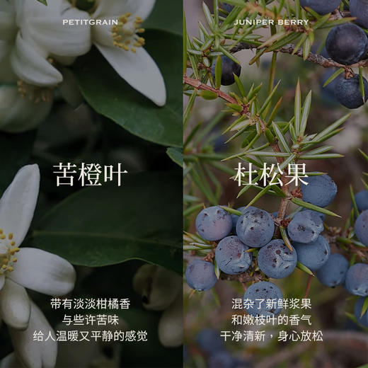 Aroma Promise月照清泉套组（苦橙叶精油10ml+杜松果精油10ml+木纹香薰机） 商品图2