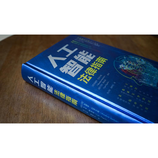 人工智能法律指南 [美]伍德罗·巴菲尔德 [意]乌戈·帕加洛编著 冯子轩 汤烨凡译 法律出版社 商品图2