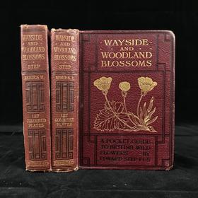 1905-1906年 路边与林地野花指南（2卷） 257幅彩色与大量黑白插图 漆布精装64开