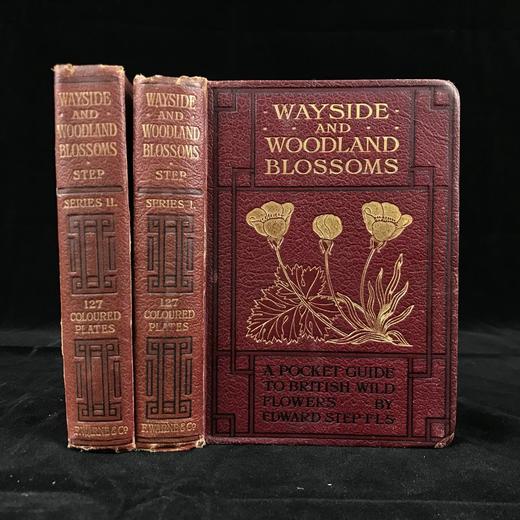 1905-1906年 路边与林地野花指南（2卷） 257幅彩色与大量黑白插图 漆布精装64开 商品图0