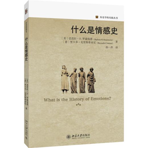 什么是情感史（美）芭芭拉 · H. 罗森宛恩 里卡多·克里斯蒂亚尼 著 北京大学出版社 商品图0