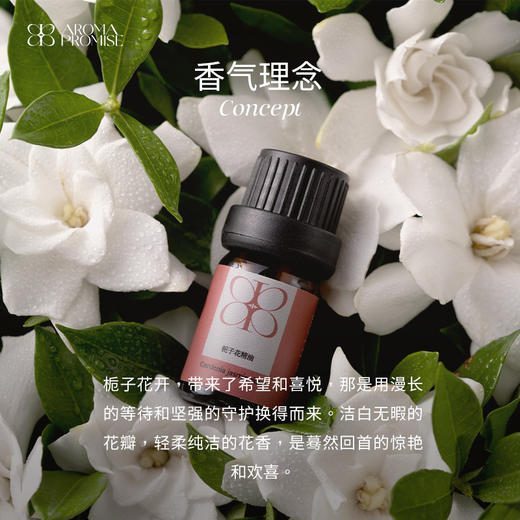 Aroma Promise栀子花开（栀子花精油2ml+木纹香薰机） 商品图1