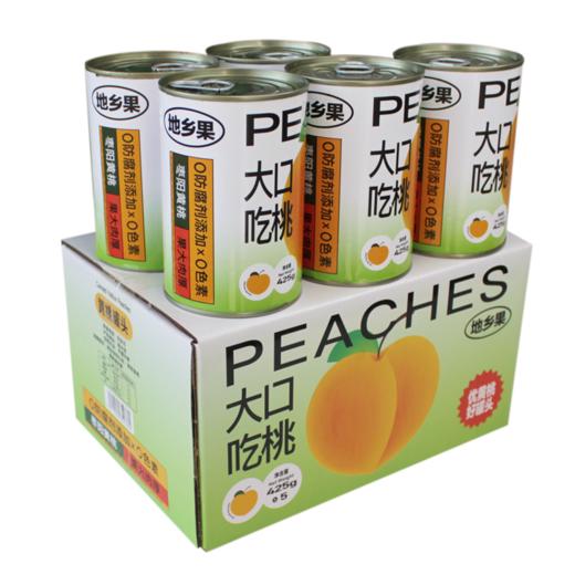 2025年1月9日出单奖励业务伙伴黄桃罐头一件（425g） 商品图1