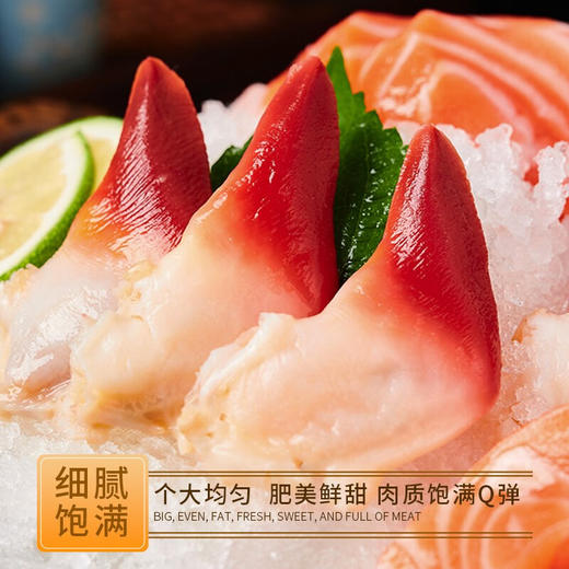 海底食界 北极贝 商品图0