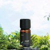 LEAF·利芙耶 尤加利单方精油10ml/瓶 商品缩略图1