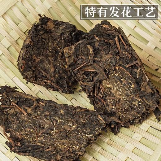 国津丨金花茯砖 安化黑茶 2018年原料 120g 罐装 商品图1