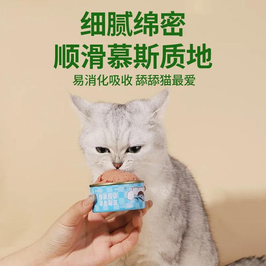 冒险与它猫罐头85g猫咪零食罐成幼猫湿粮奶酪慕斯随机口味/罐 商品图2