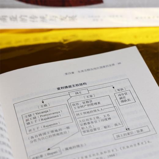 东南亚的传统与发展 商品图8