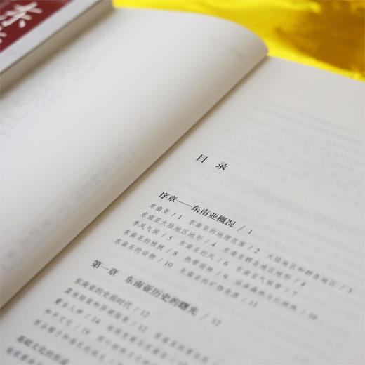 东南亚的传统与发展 商品图5