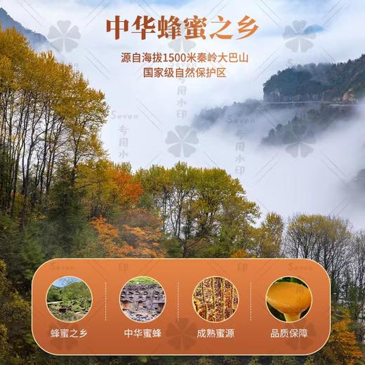 【登娃】高山百花蜂蜜礼盒装260g*2瓶 商品图4