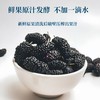 桑葚发酵饮 原汁发酵好吸收 不添加蔗糖酸甜浓稠 轻松噗噗肚子顺畅健康苗条族 桑葚汁发酵饮187ml 商品缩略图1