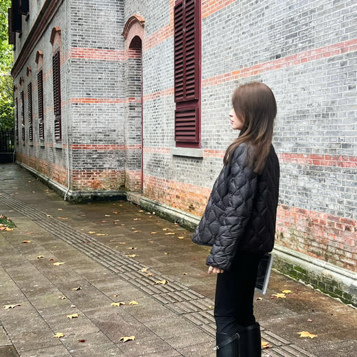 秋季特价🍂2410311    Smax弧形羽绒 鹅绒填充 商品图9