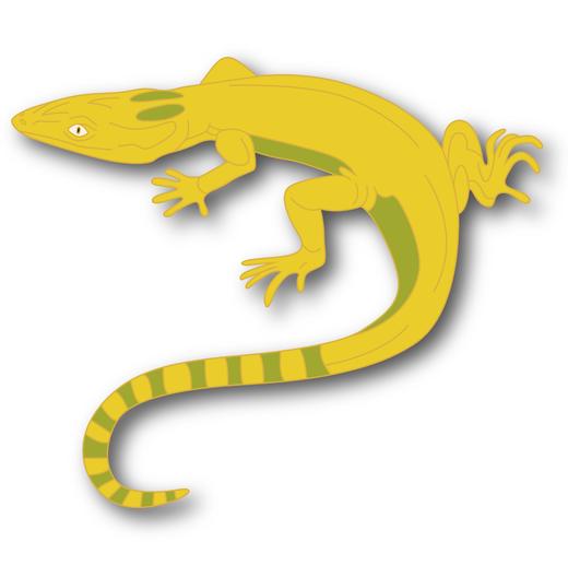 古生物冰箱贴套盒：恐龙、中华龙鸟、霸王龙... 商品图6