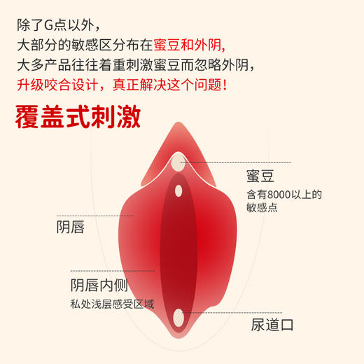 【谜姬】赛娜咬合按摩器 商品图3