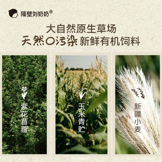 【宝妈生活严选-惊喜回归】隔壁刘奶奶重磅经典🔥🔥🔥珍稀奶源-水牛配方mini奶 天然好喝天然甜||疆天山有机纯牛奶🥛源自天山下天然有机牧场⛰️⁭来自4600公里之外的“甜”妈妈更安心❤️ 商品图6