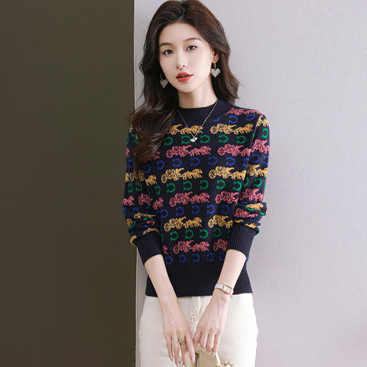 CC-101-96938针织打底衫女士秋冬装2024新款洋气半高领提花色毛衣宽松显瘦内搭 商品图2