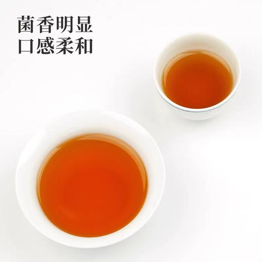国津丨茯享天成茯砖 安化黑茶 2015年原料 120g 红色罐装 商品图2