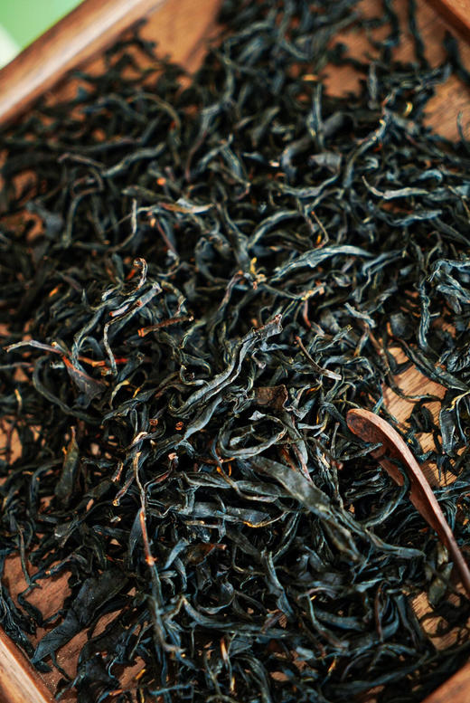 【黑美人】天花板森林红茶 商品图4