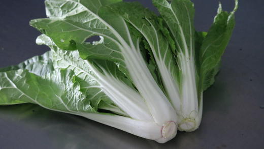 黄芽菜（400g） 商品图3