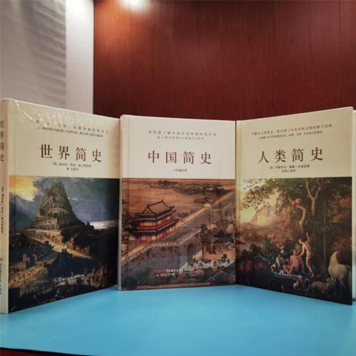4折包邮《简史三部曲：世界简史+中国简史+人类简史》（全3册） 商品图4